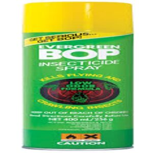 Bop Evergreen Insecticide Spray
