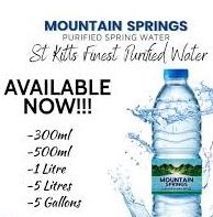 Mountain Spring Purified Spring Water
