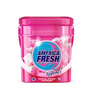 America Fresh 4Kg