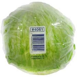 Lettuce Cello